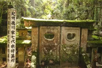 <p>a low gate covered with moss</p>