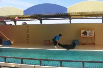Kamo Aquarium in Tsuruoka