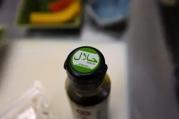 <p>La salsa de catsup halal</p>
