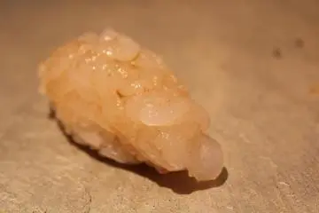 <p>Baby White Shrimp</p>