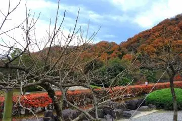 가을의 작은 산을 등지고 정원에 나무들
