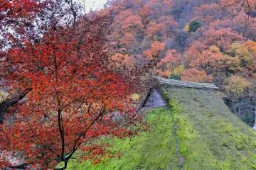 마을의 붉은 나뭇잎과 초록색 이끼, 배경의 화려한 산
