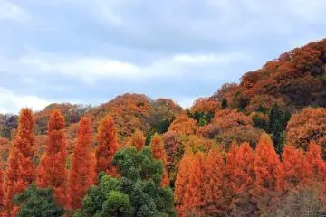 파란 하늘, 오렌지 산, 초록 나무들, 모두 내 거야!