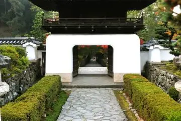Temple grounds just after 6 A.M.