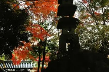 The stone tower faces the right bank of Uji River. The Koto Slope starts from here.