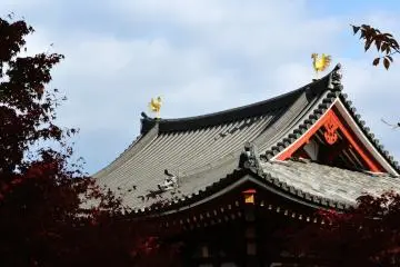 <p>The two phoenixes on the roof were replaced by replicas in 1968, and the genuine ones are safely kept somewhere else.</p>