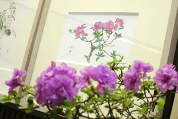 Watercolor and Subject