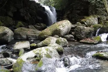 <p>A close-up on the left falls</p>