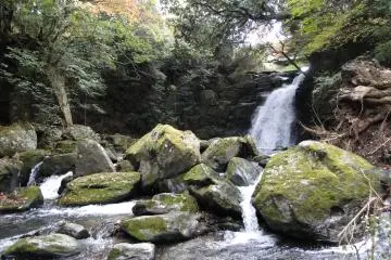 <p>The falls on the right side</p>