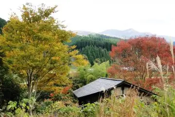<p>A view of the surrounding hills from the path to the waterfall</p>