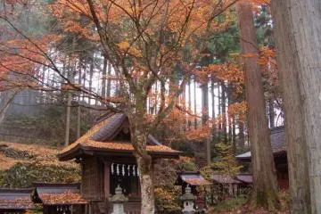 Autumn is the best time of year