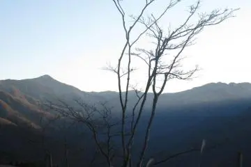 The view's not so bad, hmm?