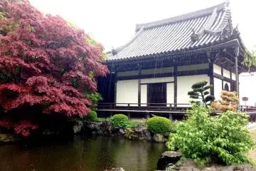 <p>Feel the peace of the garden in one of the many ponds, silent except for the sound of raindrops gently kissing the surface of the water.</p>