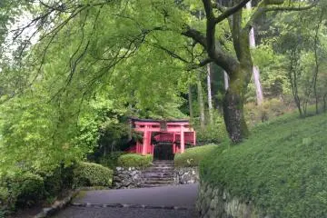 <p>Climbing one of the many steps to the temple.</p>