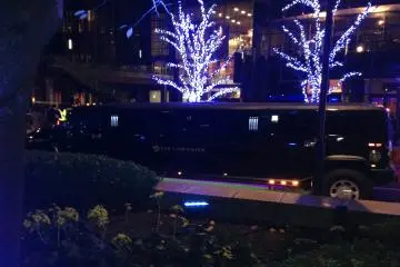 <p>A black stretch limousine gleams darkly beneath illuminated trees</p>