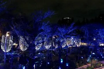 <p>Wine-glass shaped illuminations</p>