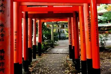 <p>Leaves scattered on the path under a small tunnel or red torii</p>