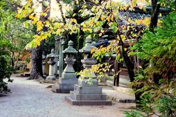 <p>A row of stone lanterns</p>
