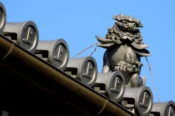 <p>A little dog guards the roof</p>