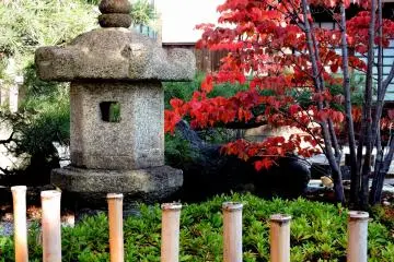 <p>Red leaves beside a stone lantern</p>