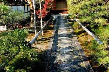 <p>Path of diamond-shaped paving stones &nbsp;</p>