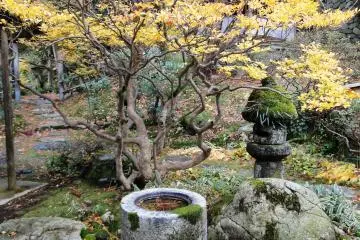 A uniquely-shaped chozubachi(water basin) in the garden