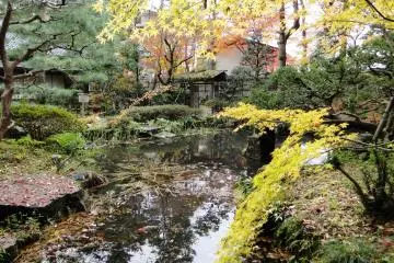 The garden is lovely in autumn, and surprisingly deserted