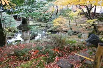 A view of the lower level of the garden from on high