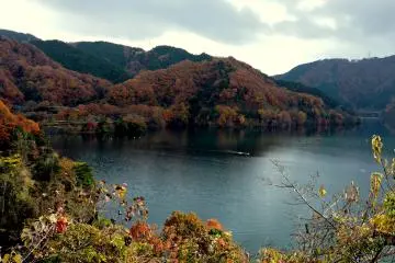 <p>I love the texture and colors of forested hills in autumn</p>