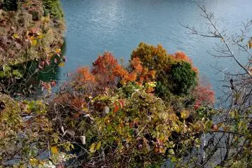 <p>Although the peak of autumn was past, there was still some color in early December</p>