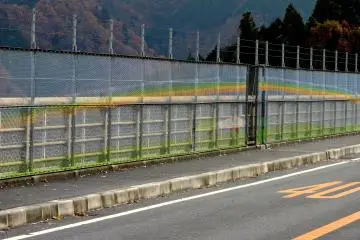 <p>The rainbow is cute, but I would rather see the scenery. I wonder why the bridge is so high?</p>