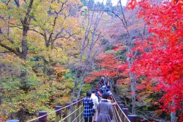 Takahagi's Hananuki Valley