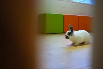 카페와 놀이터를 구분짓는 선이 있다