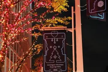 <p>The official name for the illumination areas in Roppongi is "Artelligent Christmas".</p>