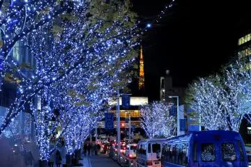 <p>These trees have a blue colour, so it's up to you which colour you want in your photos. The Tokyo Tower building in the background looks warmer if the tree&nbsp;colour is blue instead of red.&nbsp;</p>