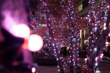 <p>Walking around the city you can find more trees in other neighbourhoods&nbsp;that have different coloured&nbsp;LEDs.&nbsp;</p>