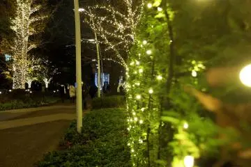 <p>Even the bushes on the side of the walkway have LEDs&nbsp;attached to them, illuminating the whole area.&nbsp;</p>