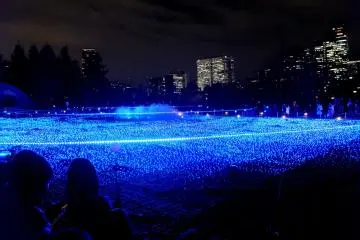 <p>The beautiful sea of LEDs&nbsp;in a large rectangular area looks almost like a real sea.&nbsp;</p>