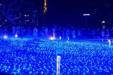 <p>Watch out for the crowds since many people want to walk by and take photos of the LED sea. It's a good idea to go on a weekday early afternoon around 5 pm when it's already dark but not too many people around.&nbsp;</p>