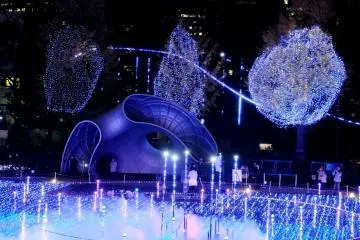 <p>Beautiful sculpture illuminated by the many LEDs&nbsp;makes it seem even more surreal and artistic.&nbsp;</p>