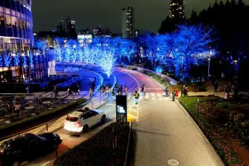 <p>The street is glowing with so many different colours from the LEDs&nbsp;on the trees, and the normal lights of the night lights as well as the cars' headlights.&nbsp;</p>