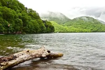 The nearby mountains and woods are lush and green.