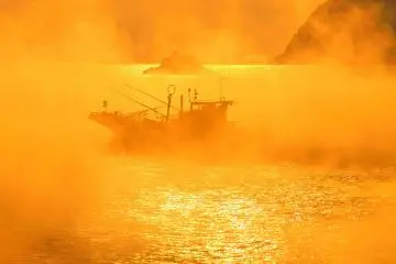 <p>A bonito fishing boat? Many fishing boats come and go at this time of a day.</p>