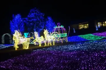 <p>Cinderella's coach parades across the lawn</p>