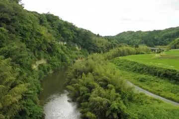 Rivers through the landscape