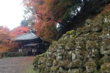 <p>Another photo of the stone statues of Rakan (disciples of Buddha)</p>