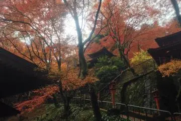 <p>Autumn leaves surrounding the main hall</p>
