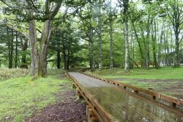 Wooden walkways like this one can be found here and there.
