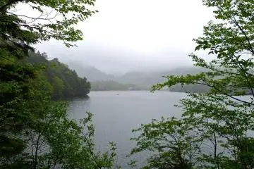 The lake shown between the trees changes faces as you move along. 