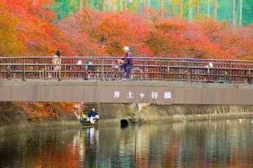 <p>A cyclist and a pedestrian admiring the bright autumn foliage along Idogaya Bridge</p>